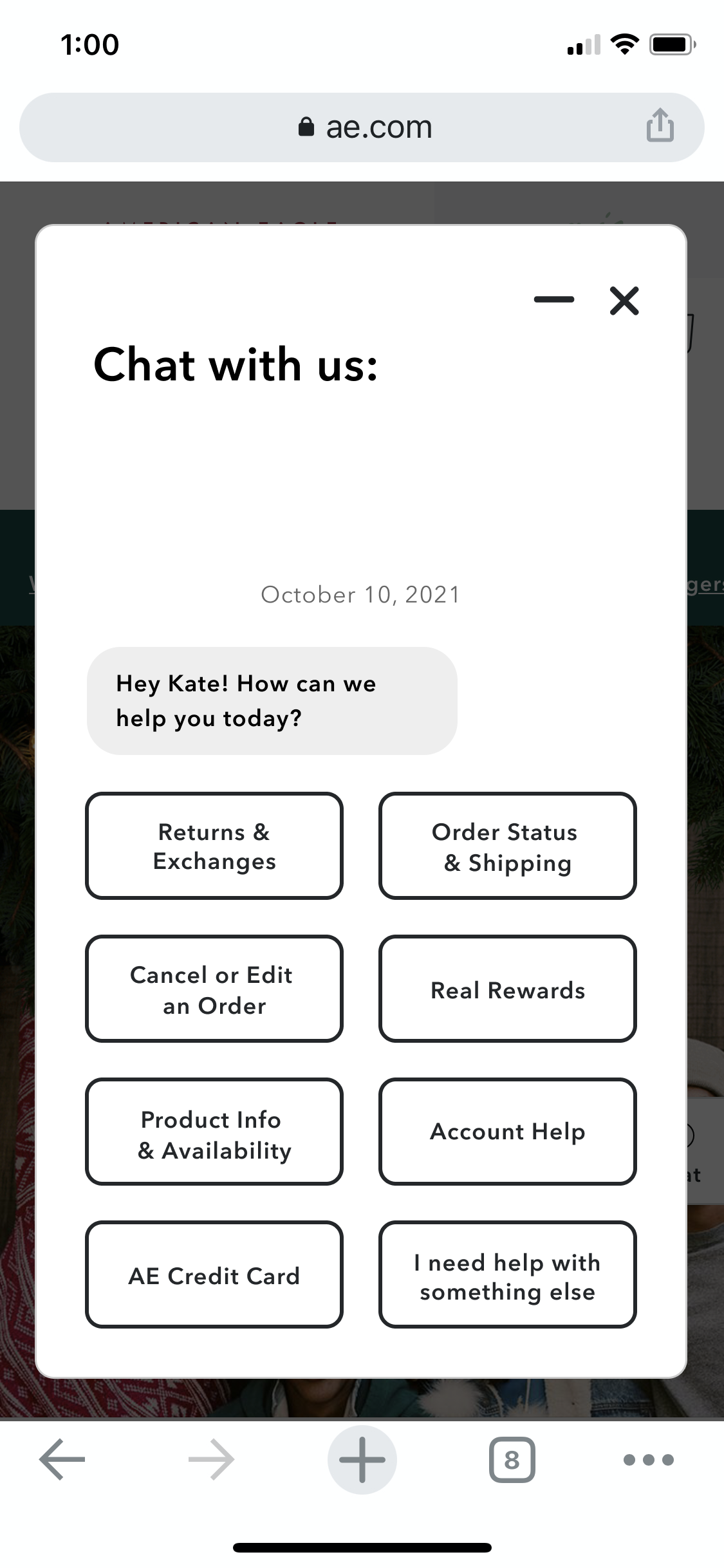 Final Chatbot UI View 1